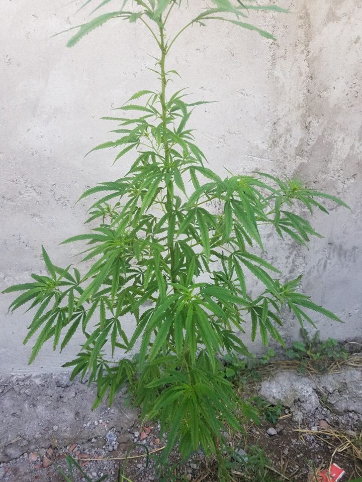 FBMD01000a840d0000dd3300002d7f0000d0860000ed91000079e00000f469010013720100ae7c010086890100c8730200