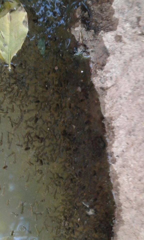 FBMD01000aa50300003e1c0000ac3b0000513c0000b23d000054450000807c00000c83000076890000b09000005b060100