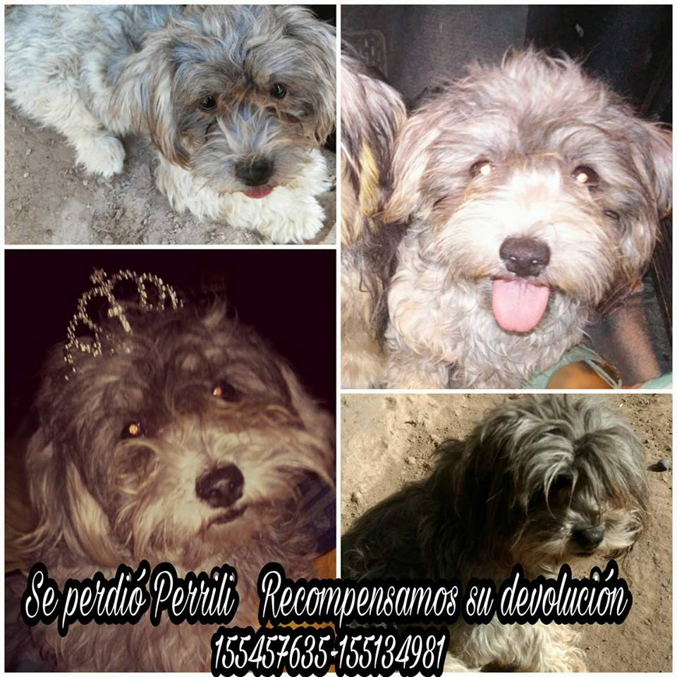 FBMD01000aa6030000ba350000368f0000069300000297000080cf0000154c0100dd56010046600100696a0100f8350200 FBMD01000aa6030000ba350000368f0000069300000297000080cf0000154c0100dd56010046600100696a0100f8350200