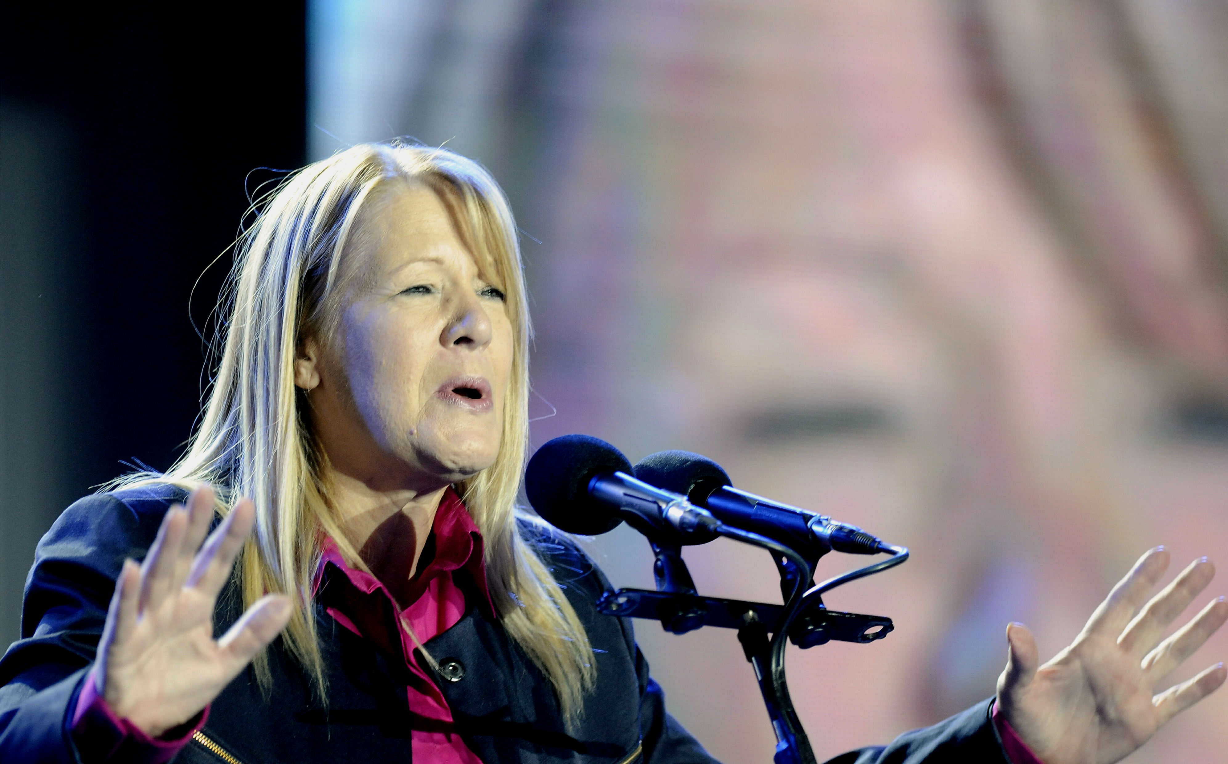 DYN54, TIGRE, 14/07/2017, LOS PRECANDIDATOS A SENADORES POR EL FRENTE 