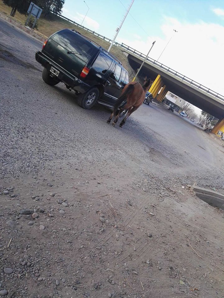 FBMD01000aab03000049260000de6e0000247100001f74000064e50000ba890100de910100ec980100b0a0010030a60200 FBMD01000aab03000049260000de6e0000247100001f74000064e50000ba890100de910100ec980100b0a0010030a60200