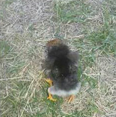 FBMD01000ac203000068160000113b0000eb3c00003e3f0000db7300000bac0000a7b00000aab3000089b700002c0f0100