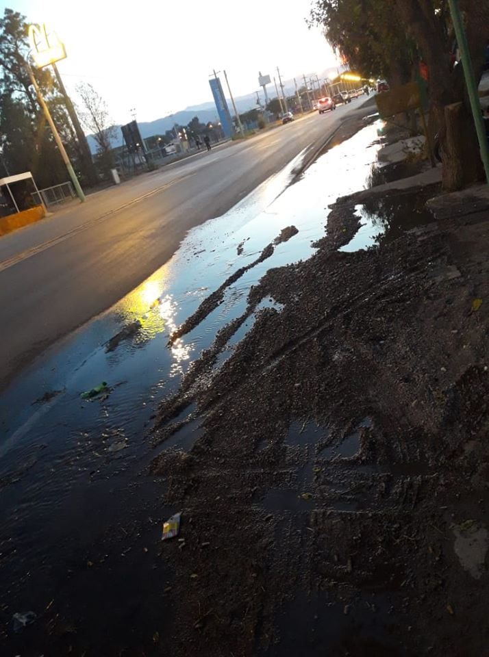 FBMD01000aa803000066220000c14f0000a452000023560000757c000014db000037e30000b7e9000076f0000078920100