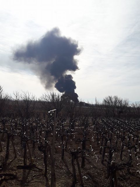 FBMD01000aa603000097110000ae25000010260000ca2600000d390000666200002266000025680000aa6a0000b1b50000