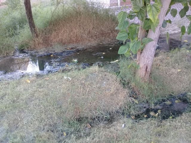 FBMD01000aa6030000011400005d370000dd3800004d3b00002e5f000057a800000dac0000dbaf00005fb40000422c0100