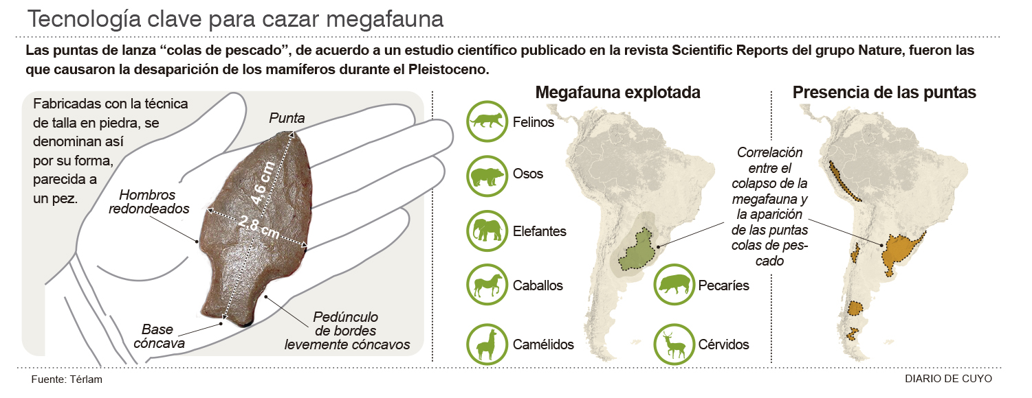 Las armas “cola de pescado” causaron la extinción de la megafauna en ...